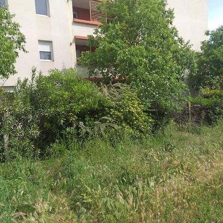 蒙彼利埃Le Nomade, Parc Montcalm Et Stationnement Prive公寓 外观 照片