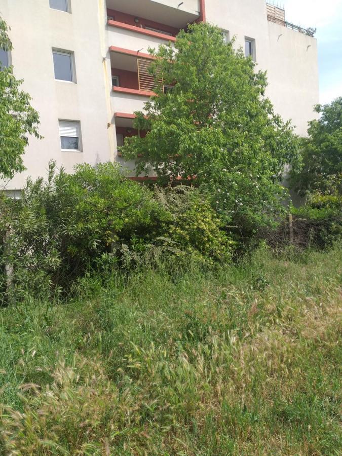 蒙彼利埃Le Nomade, Parc Montcalm Et Stationnement Prive公寓 外观 照片